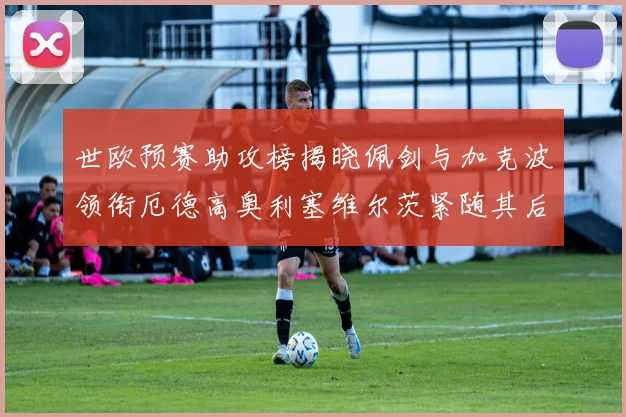 世欧预赛助攻榜揭晓佩剑与加克波领衔厄德高奥利塞维尔茨紧随其后
