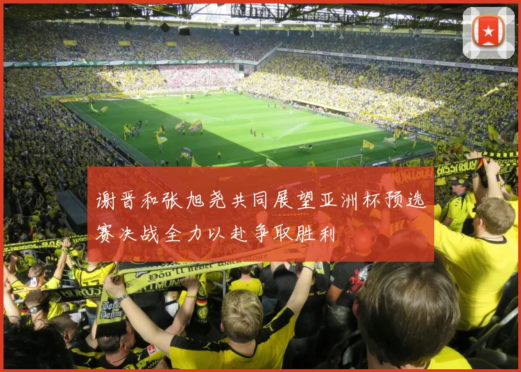 谢晋和张旭尧共同展望亚洲杯预选赛决战全力以赴争取胜利