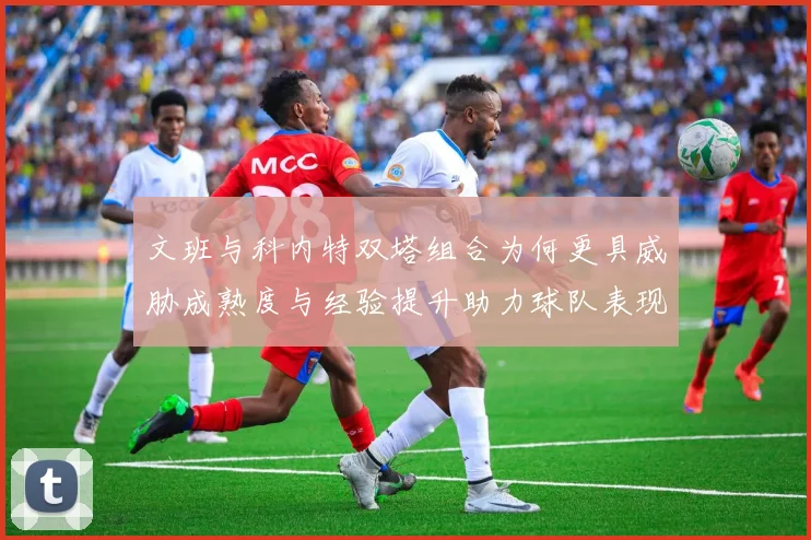 文班与科内特双塔组合为何更具威胁成熟度与经验提升助力球队表现