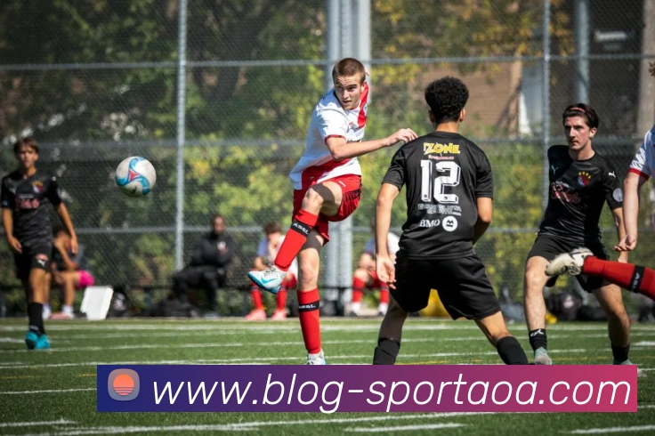 AOA体育服务体系